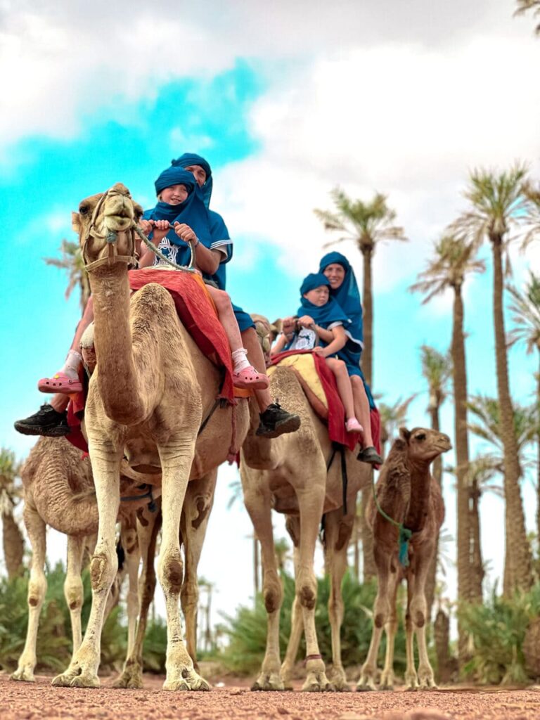 balade en chameau a la palmerai marrakech