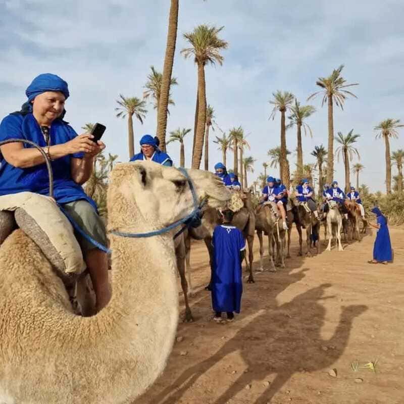 balade chameau marrakech