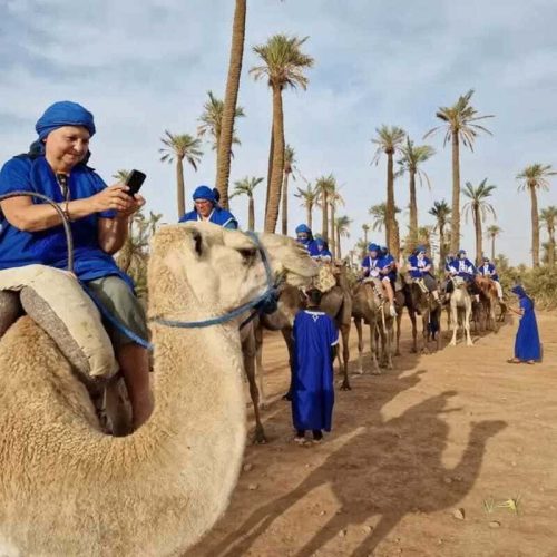 chameau balade marrakech balade chameau marrakech